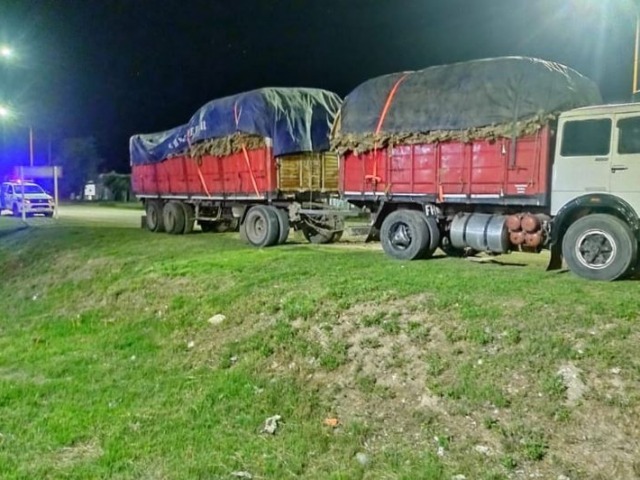 Secuestraron 10 mil kilos de cuero ovino con destino a Olavarra